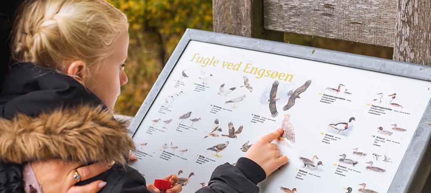 Efterårsferie på Gyldensteen Strand